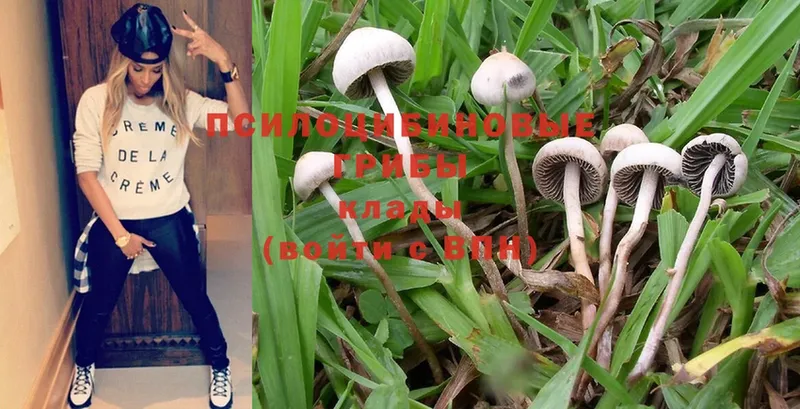 Псилоцибиновые грибы MAGIC MUSHROOMS  Карталы 